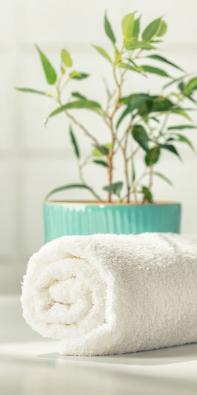 Une serviette de bain blanche roulée devant une plante